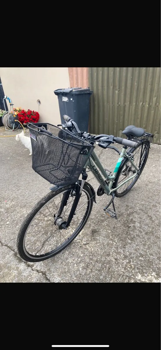Ladies Bicycle for sale - Image 2