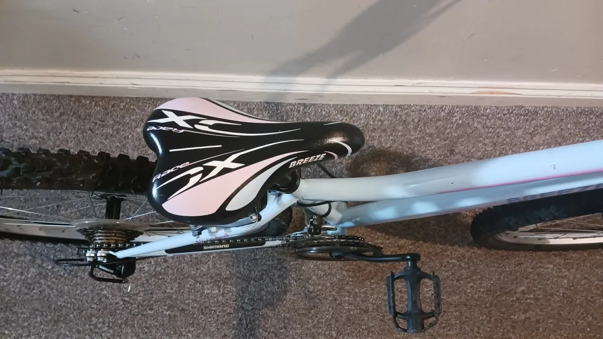 Bicycle - Image 3
