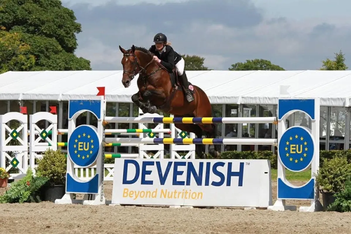 Broodmare (TIH) in foal to CC Captain Cruise (TIH) - Image 4