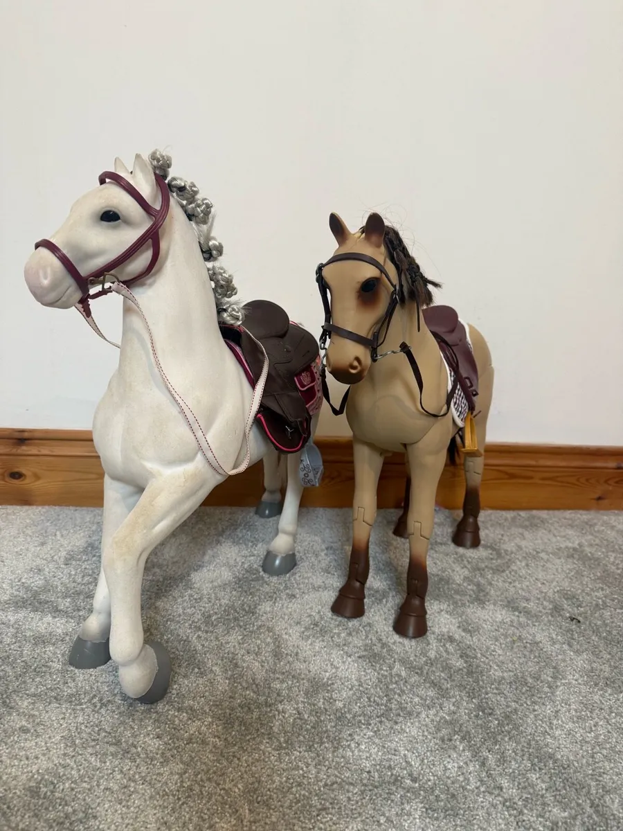 Our generation horse - Image 1