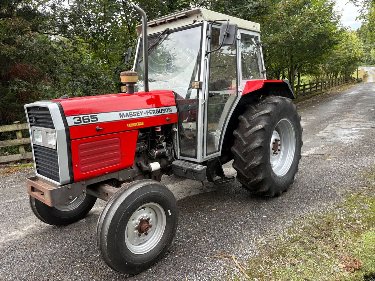 Massey Ferguson 365 - Image 2