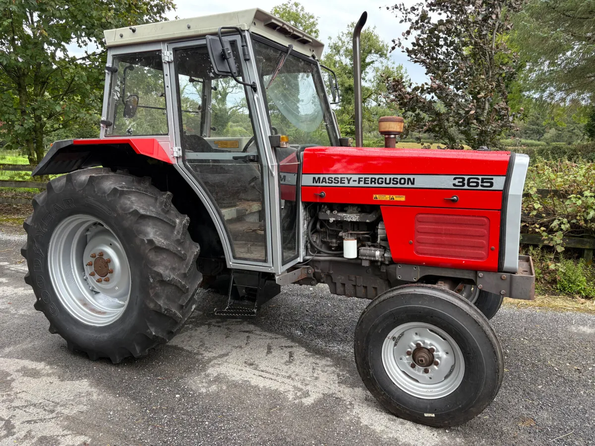 Massey Ferguson 365 - Image 3
