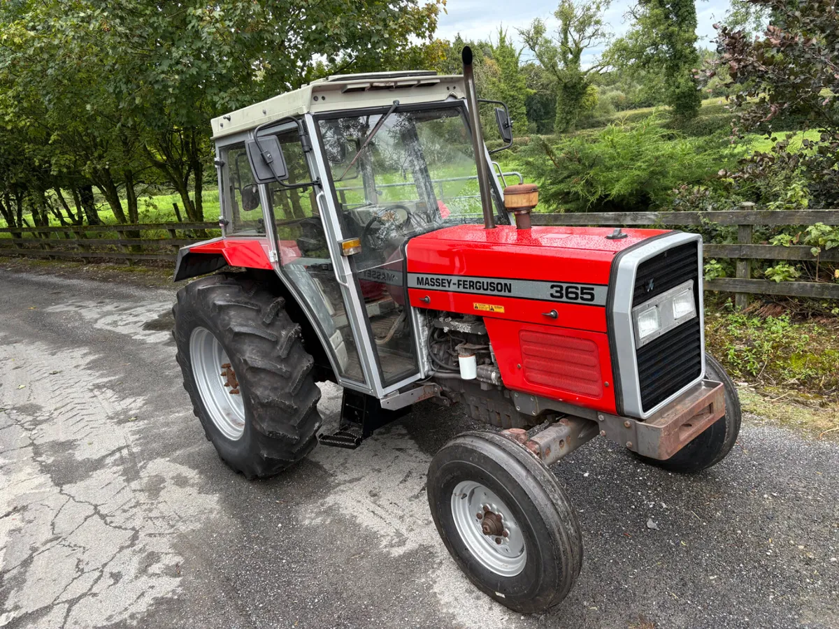Massey Ferguson 365 - Image 1