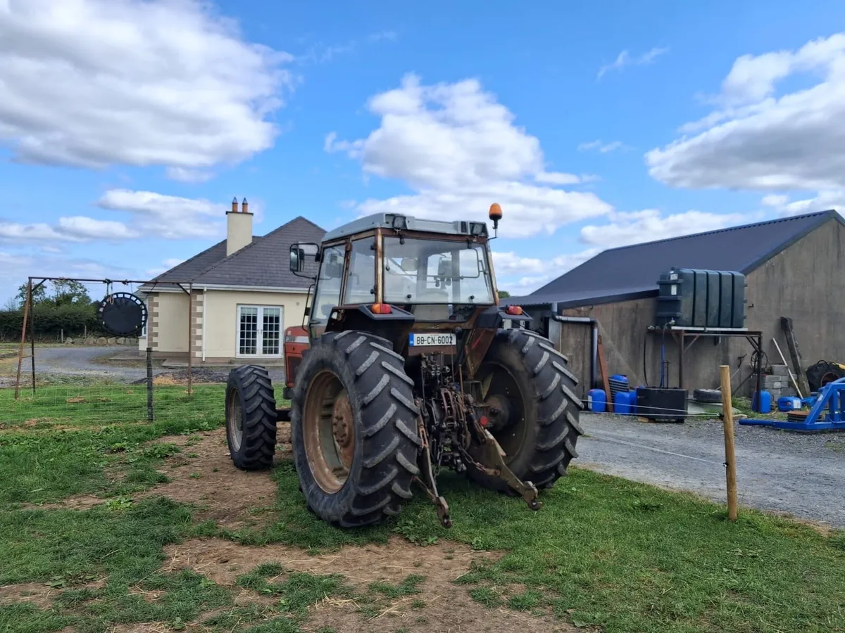Massey Ferguson 399 - Image 2