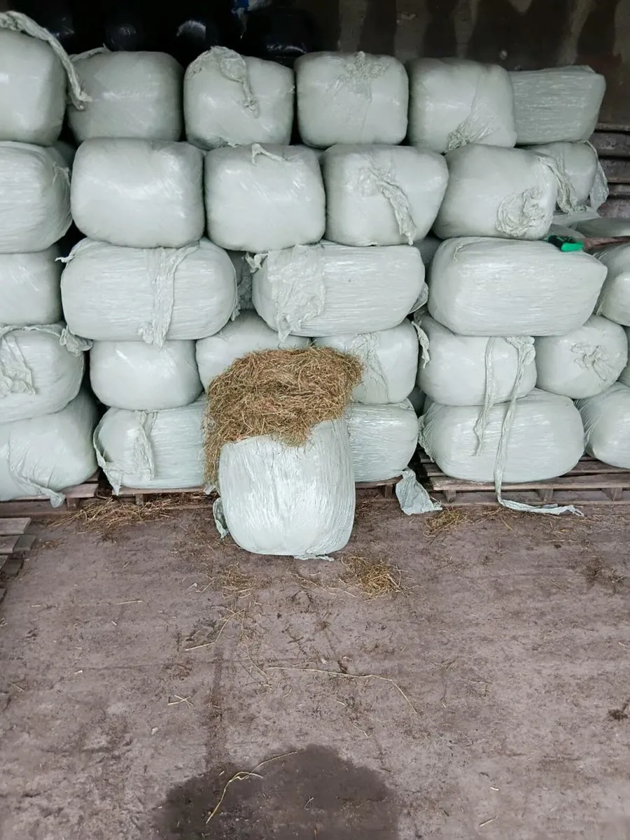 Top quailty sqaure bales - Image 2