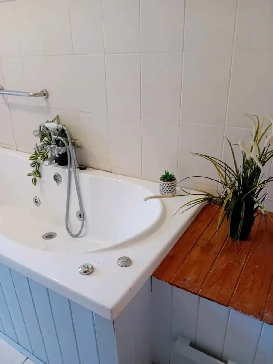 Jet Jacuzzi  Bath - Image 3