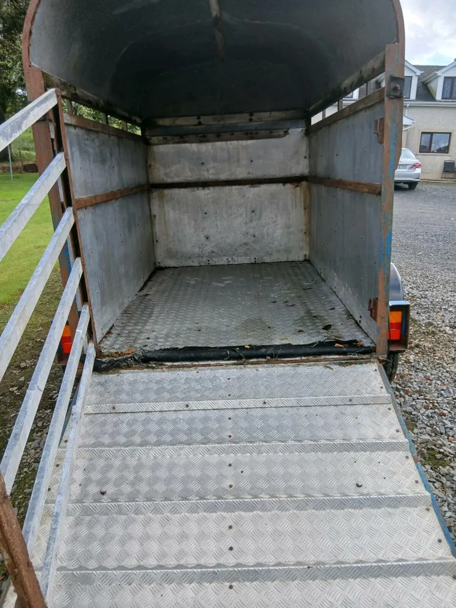 8x5 cattle trailer - Image 4