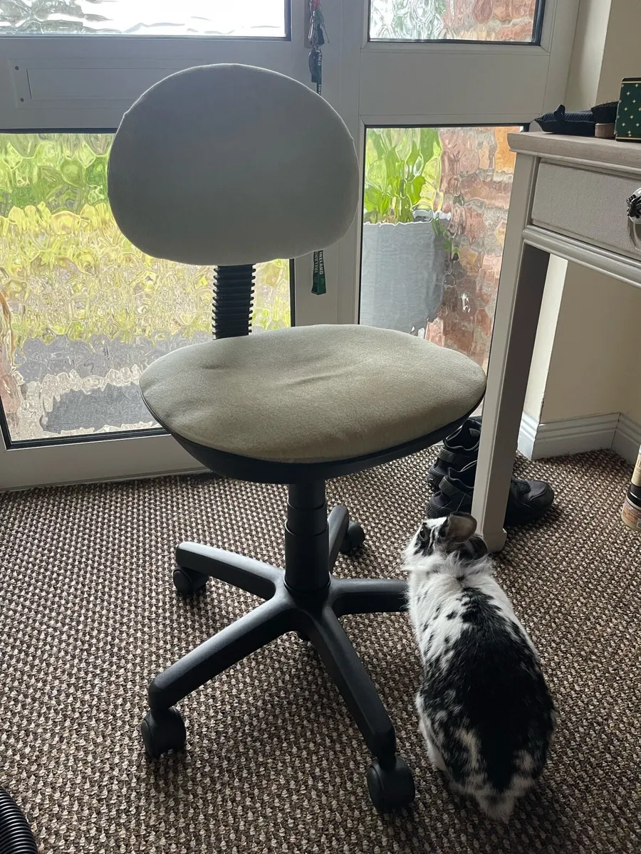 Office chair - Image 1
