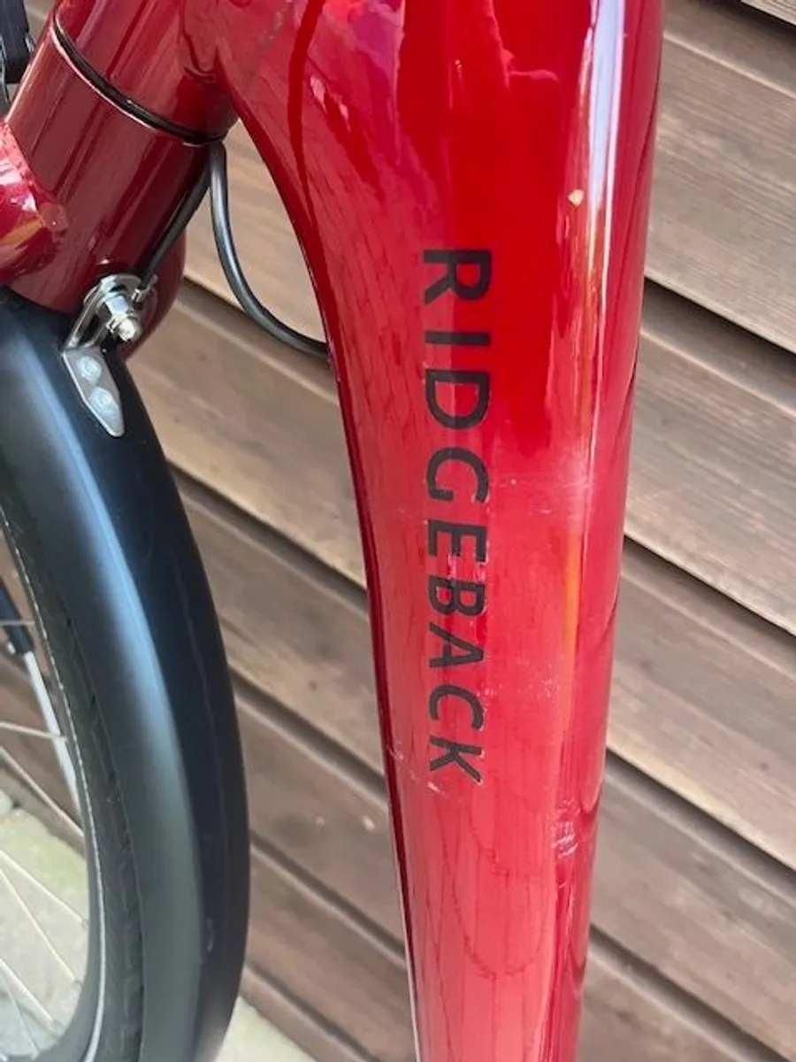 Electric Bike - Image 3