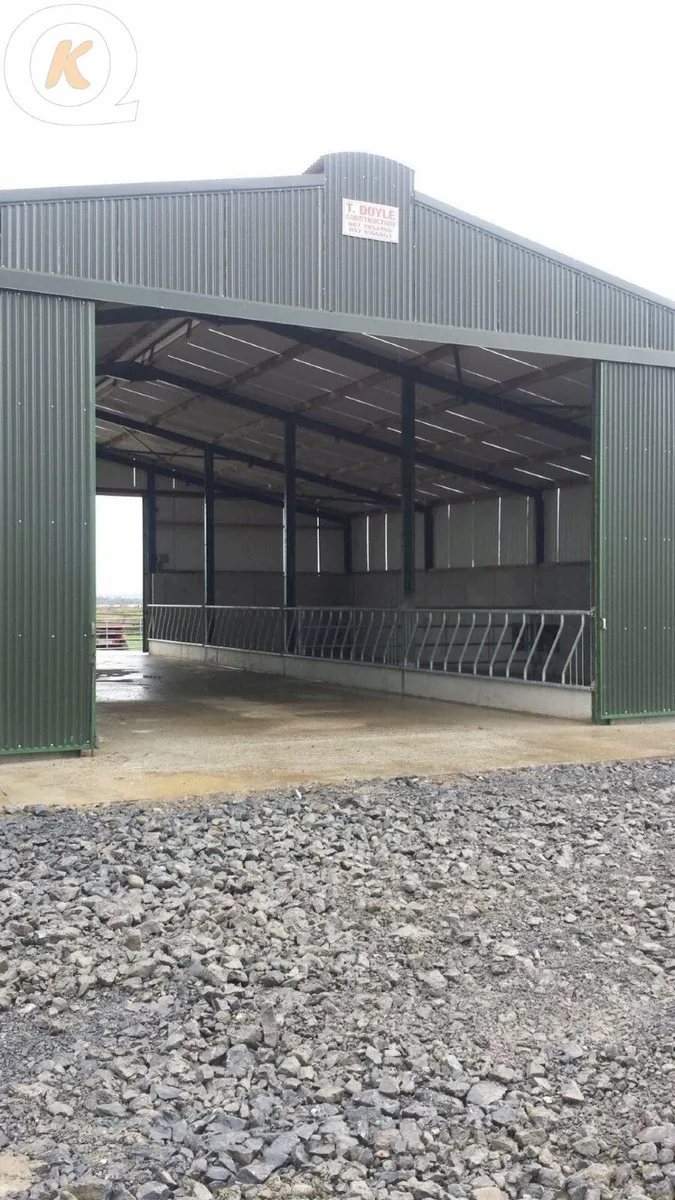 Slatted Shed Required- Youngstock