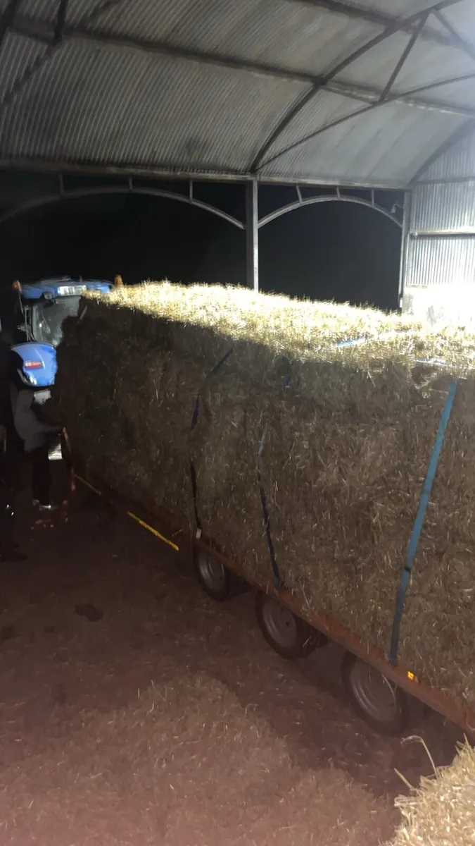 Small square bales of hay and straw - Image 1
