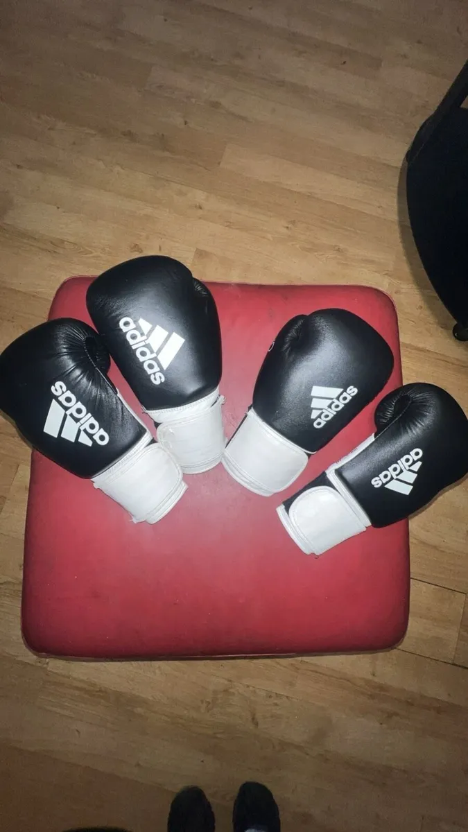 Boxing gloves