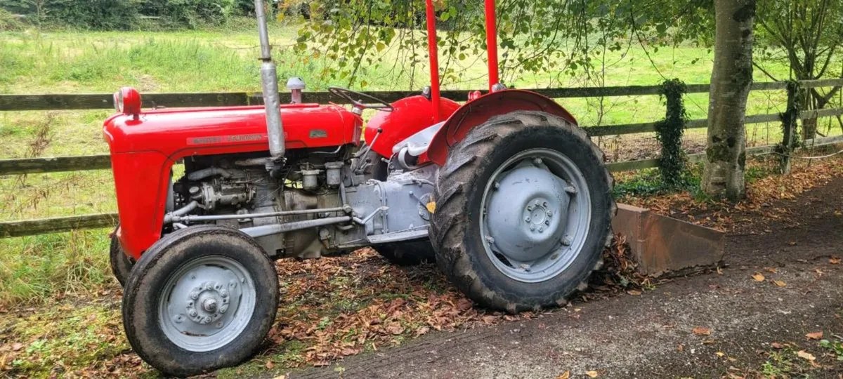 Massey ferguson 35 3cyl & finishing mower - Image 2