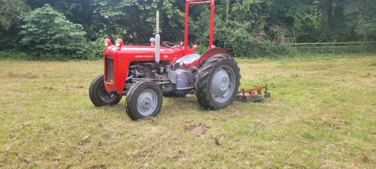 Massey ferguson 35 3cyl & finishing mower - Image 4
