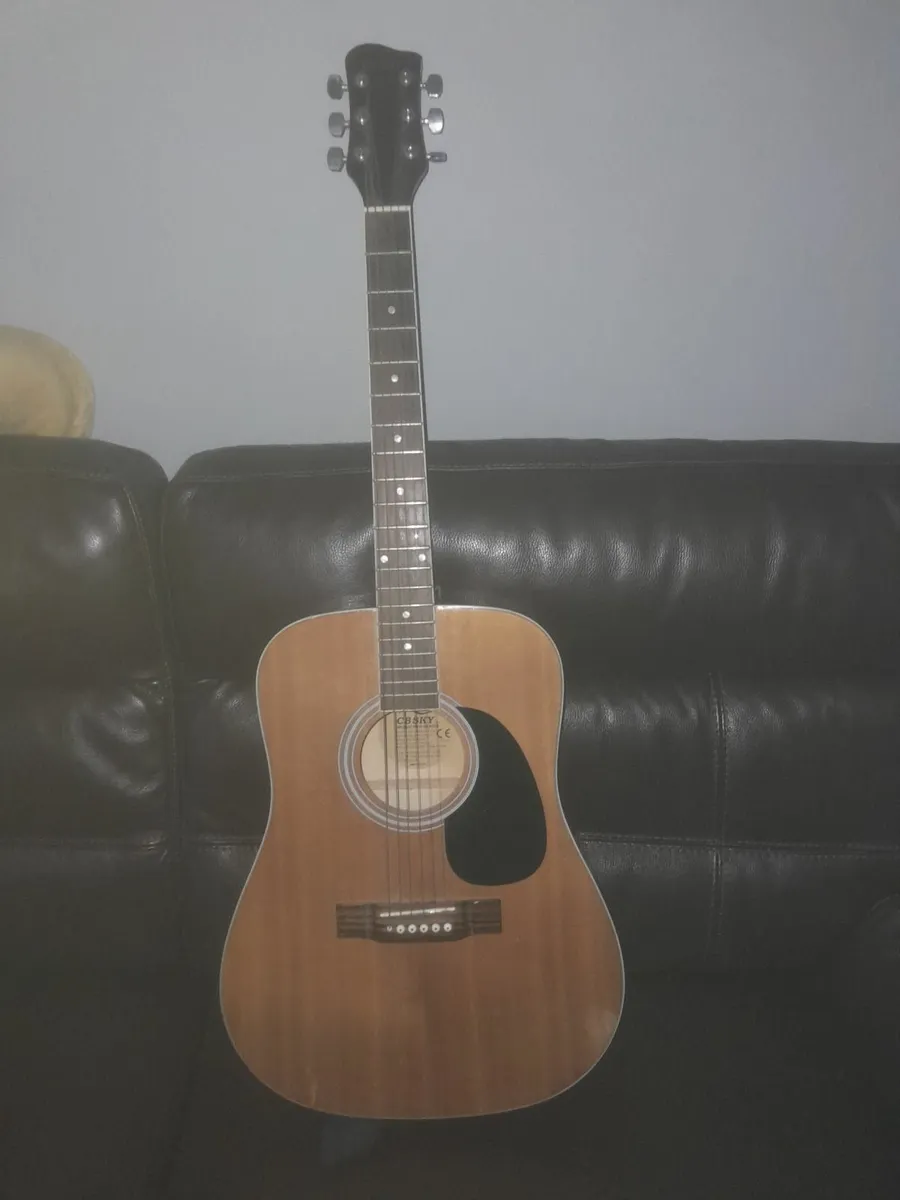 Guitar
