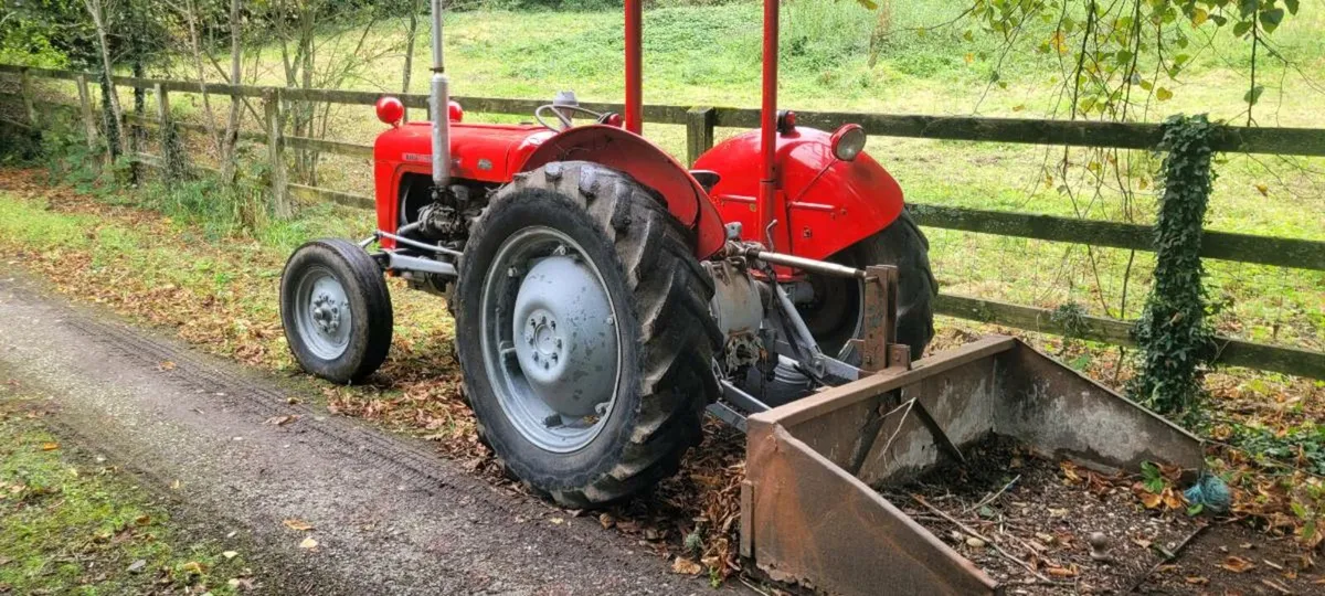 MF 35 & heavy duty finishing mower - Image 3