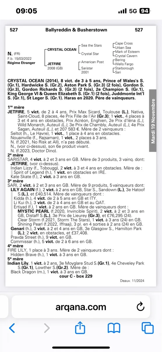 Stakes winning Broodmare - Image 2
