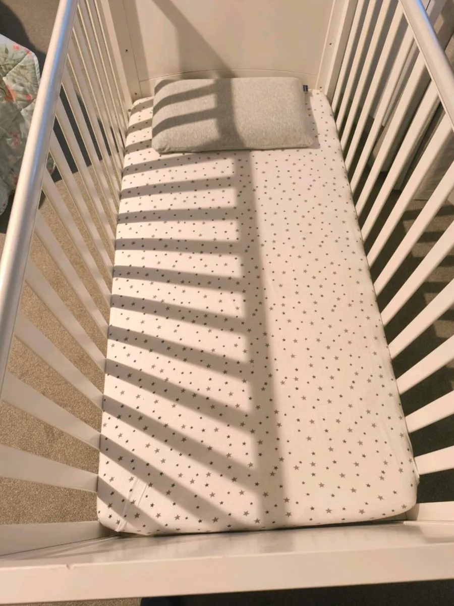 Cot - Image 3
