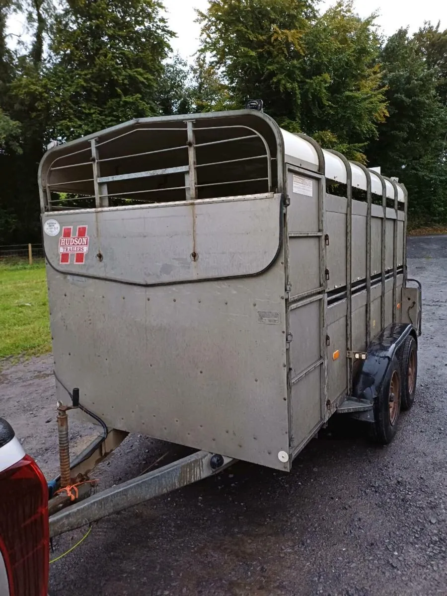 Hudson 12ft  cattle trailer - Image 2