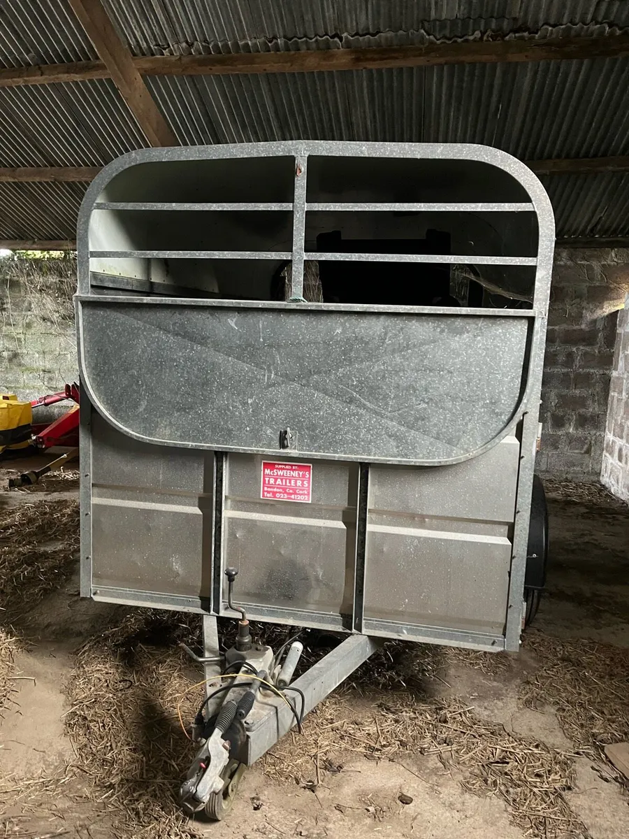 Cow Box - Image 1