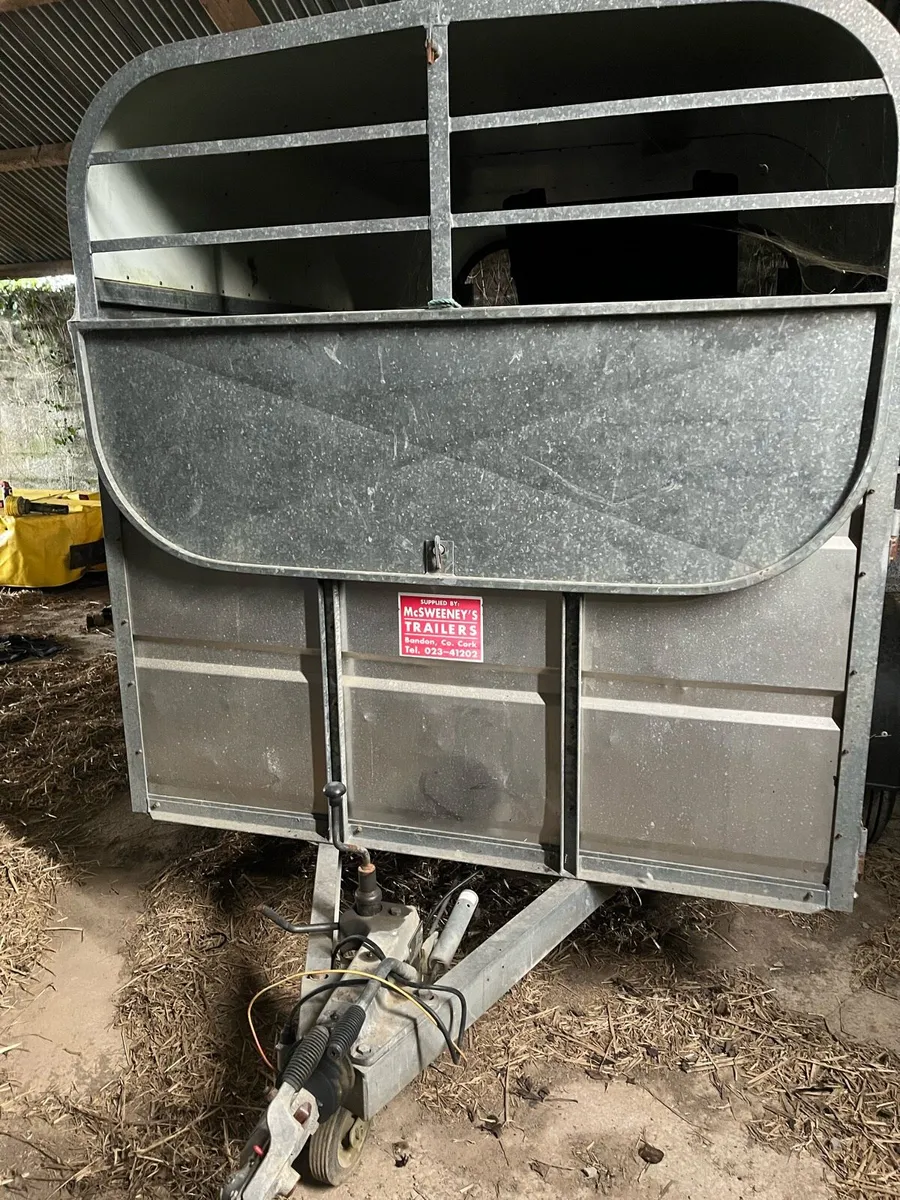 Cow Box - Image 4