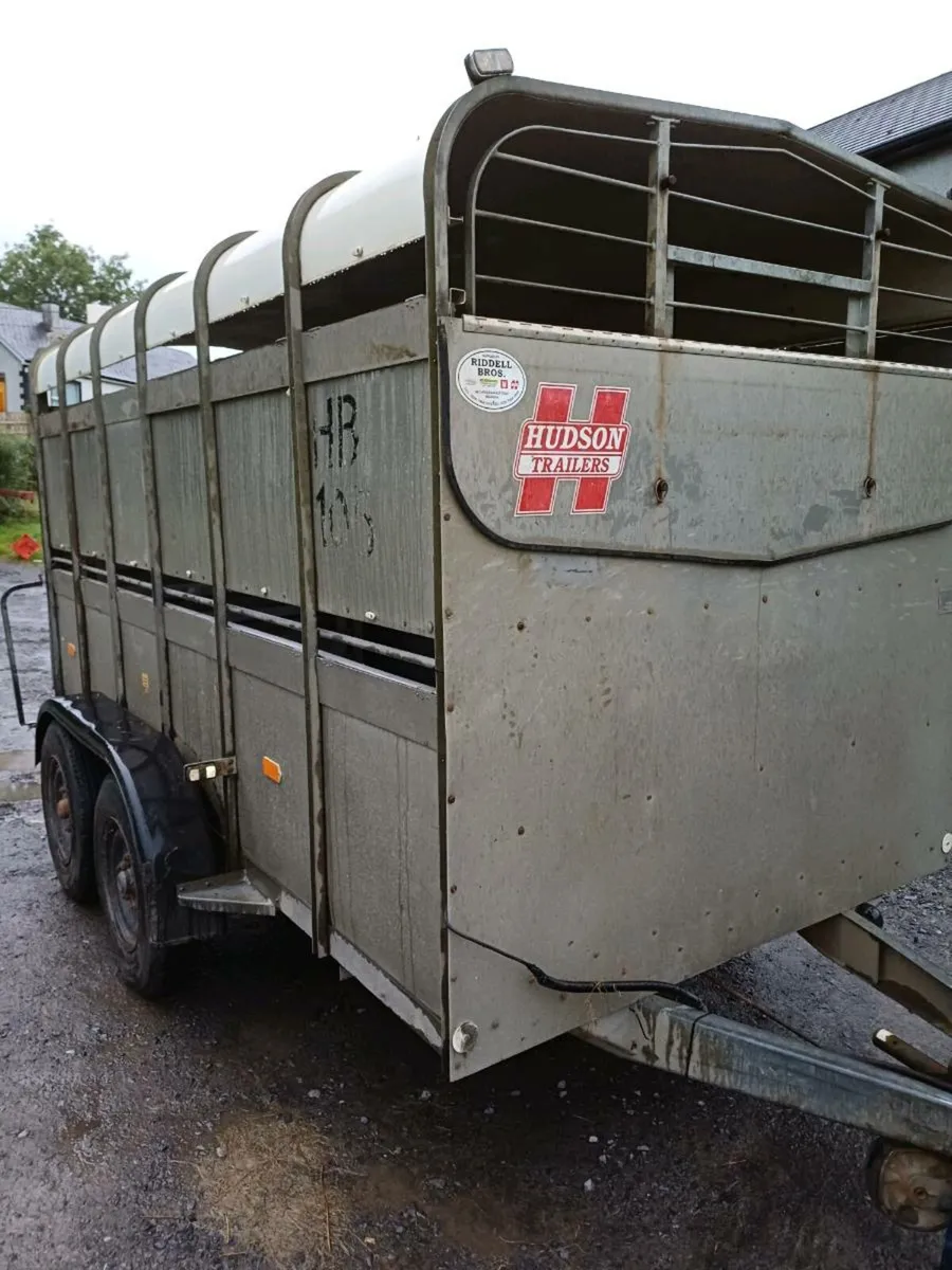 Hudson 12ft  cattle trailer - Image 1