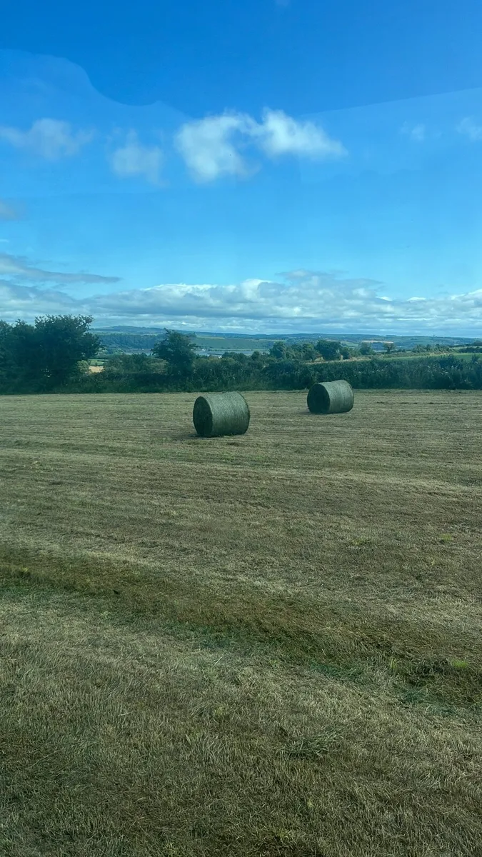 Silage bales for sale