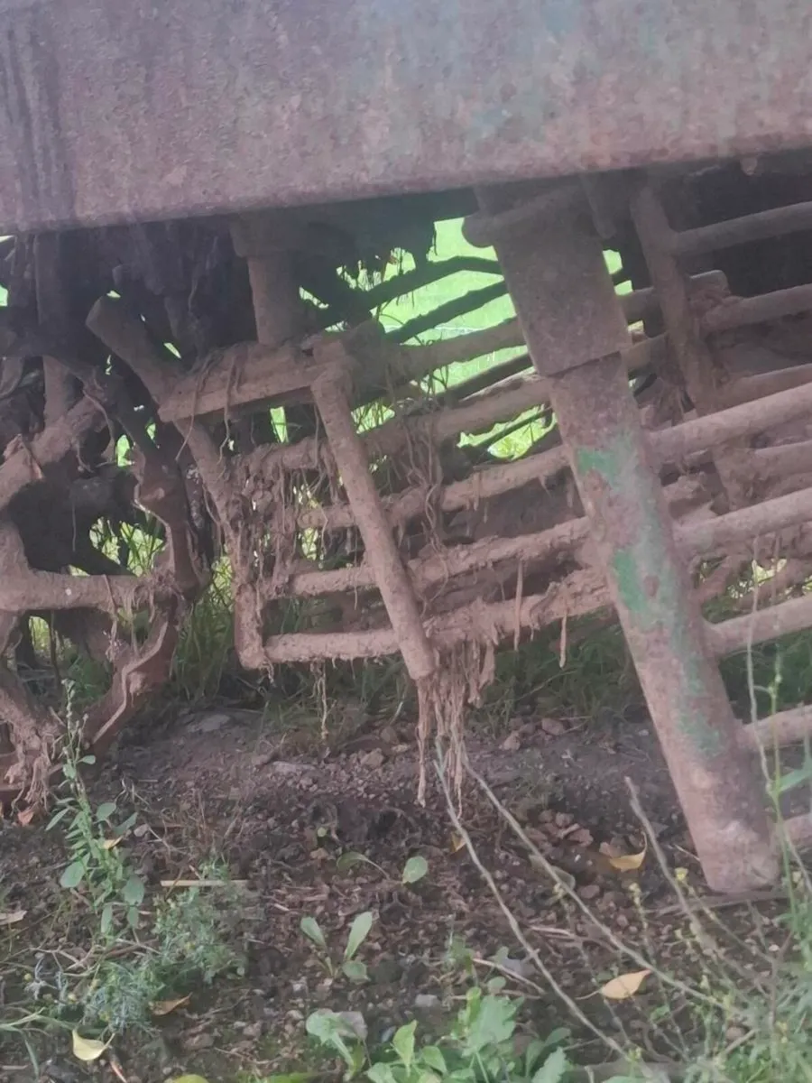 Thyregod T7 beet harvester - Image 4