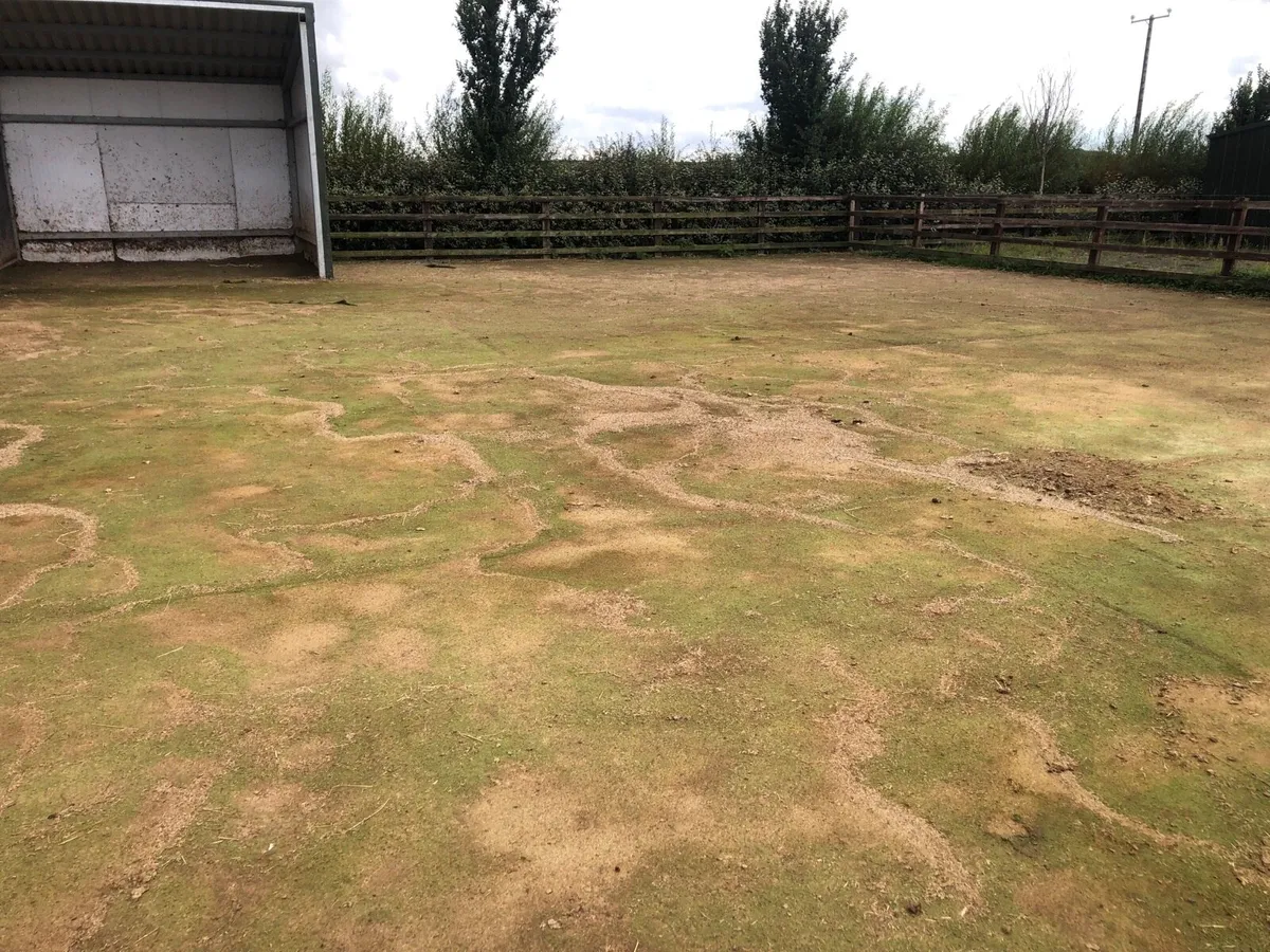 Used Astroturf/Tennis Court Surface - Image 2