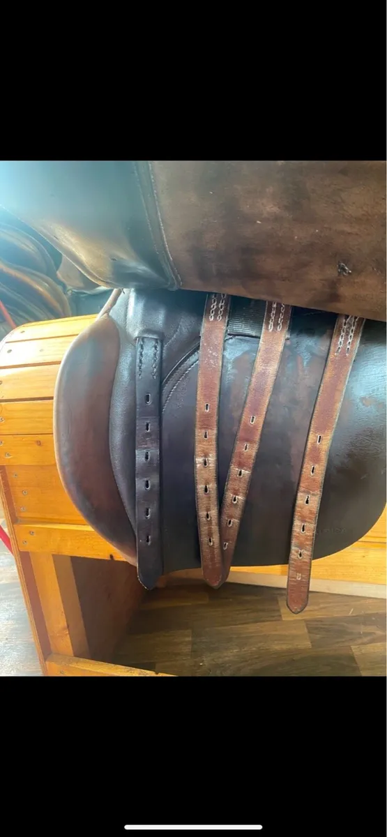 Falcon 17” wide brown Leather saddle - Image 2