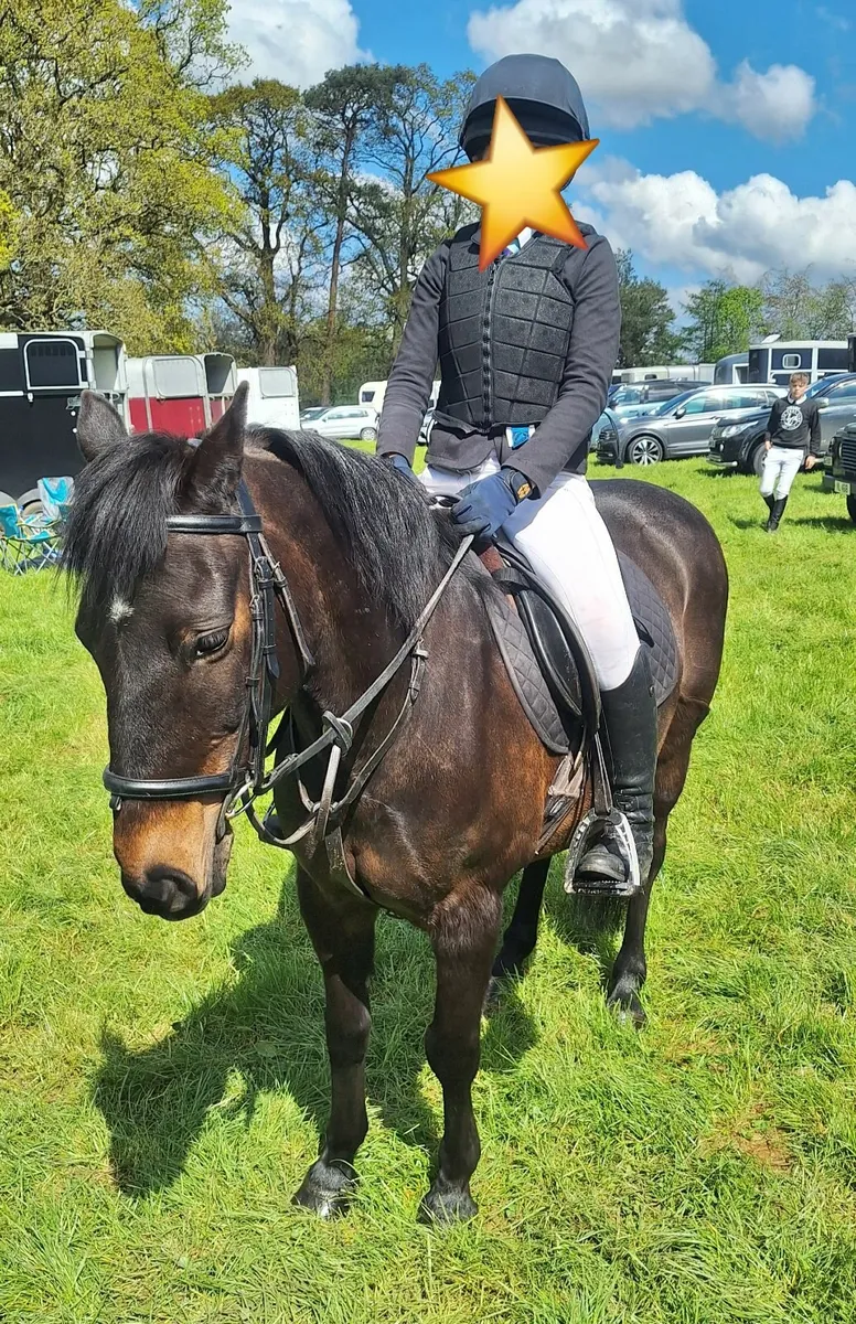 Exceptional childs Pony 13hh - Image 1