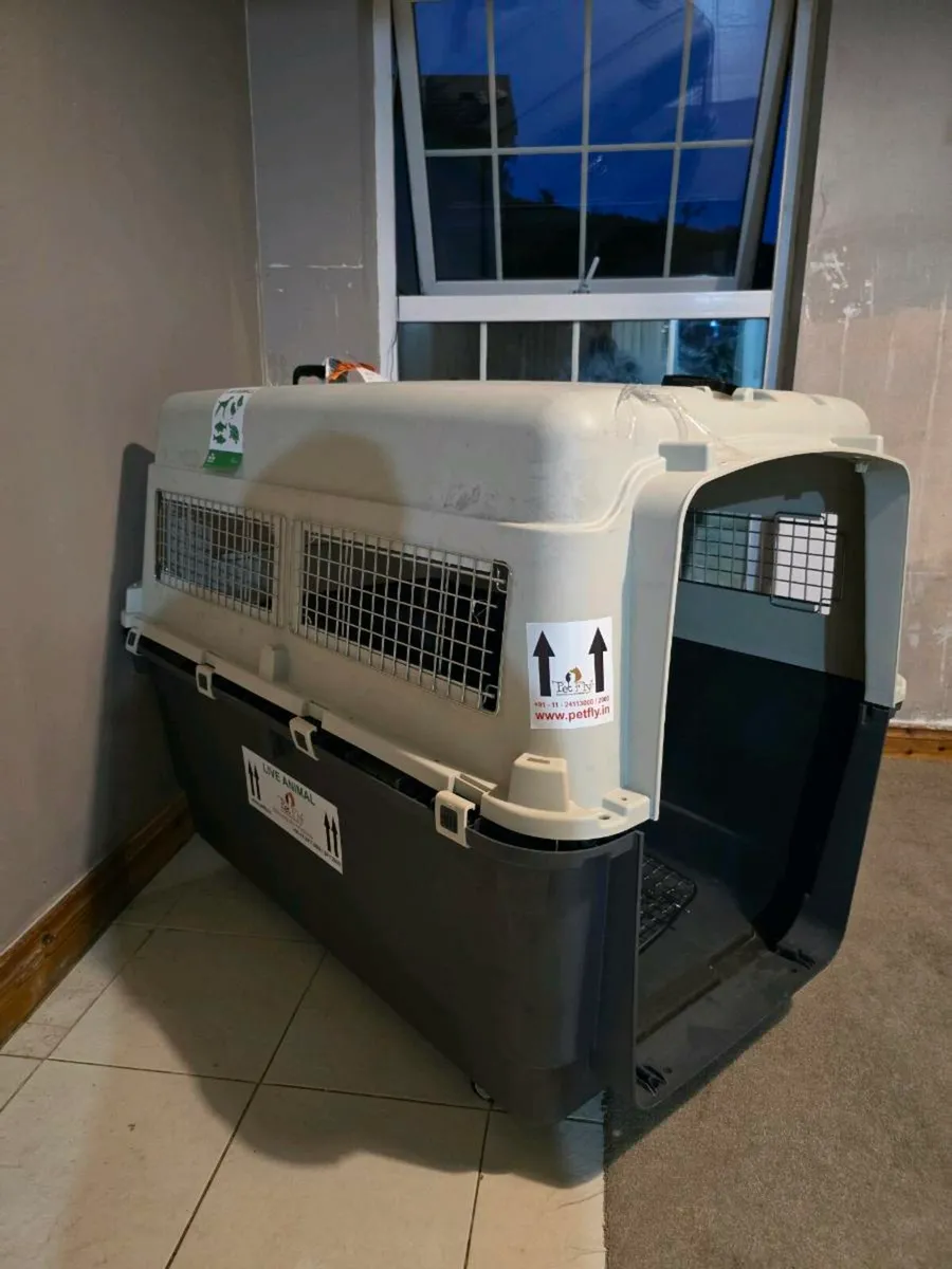 IATA approved dog kennel - Image 1