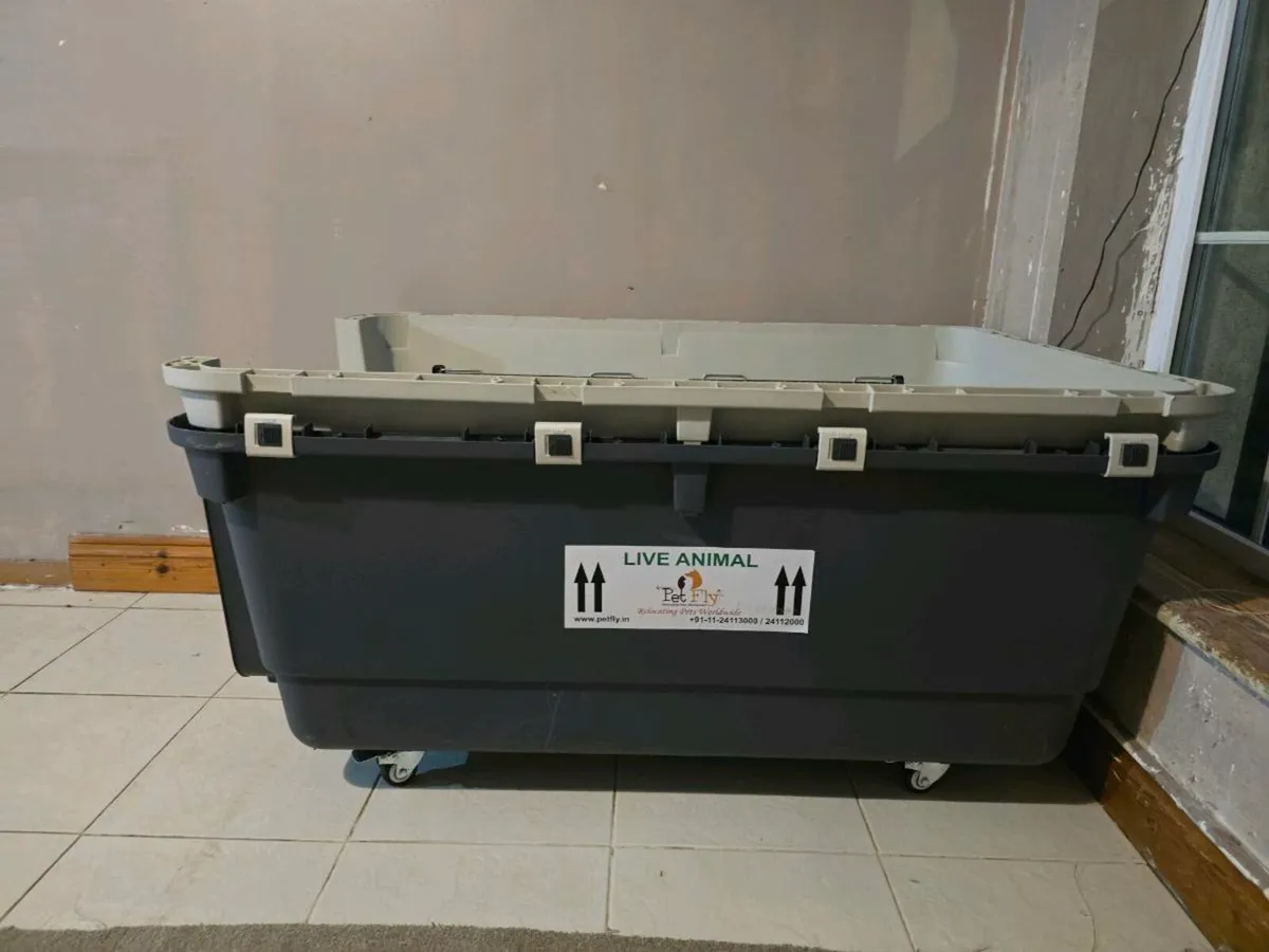 IATA approved dog kennel - Image 3