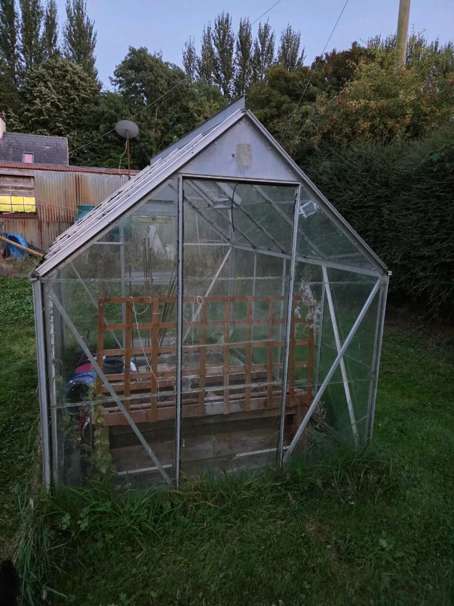 6 x 8 greenhouse - Image 2