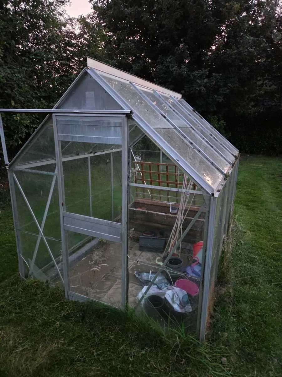 6 x 8 greenhouse - Image 1
