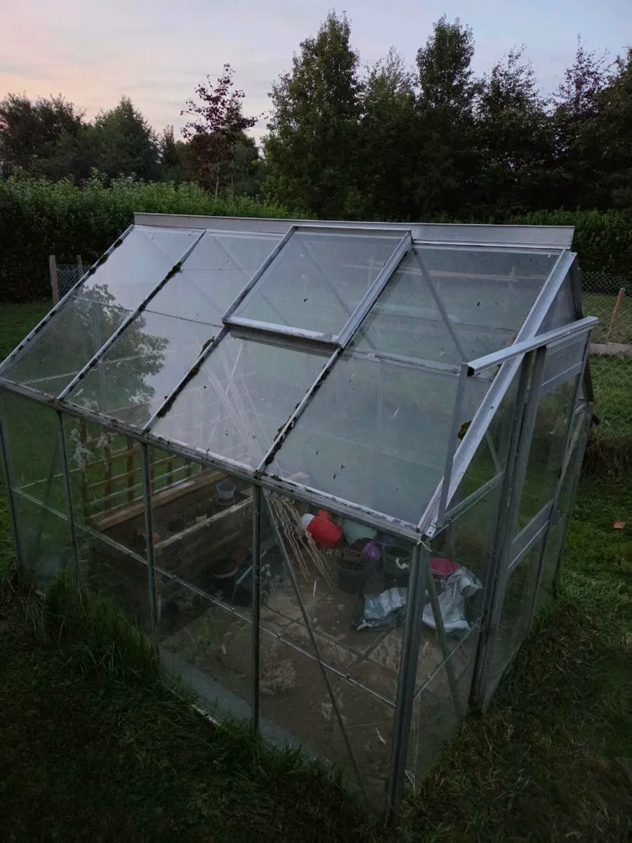 6 x 8 greenhouse - Image 3