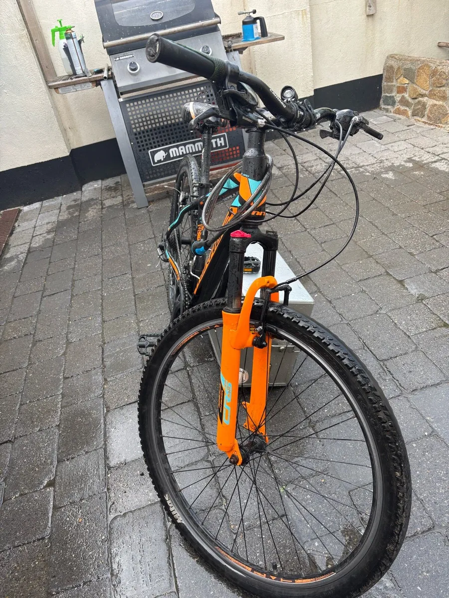 Bike - Image 4