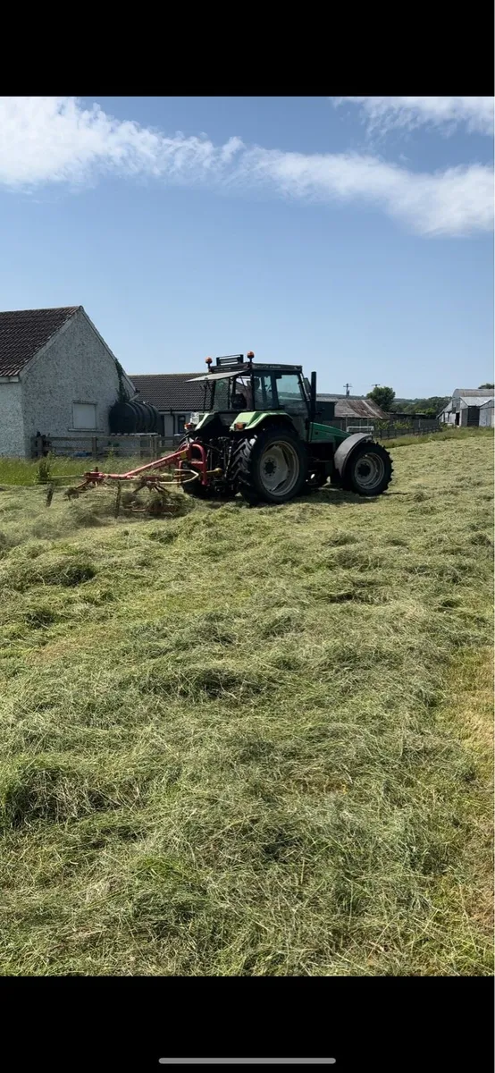 Organic square hay bales - Image 4
