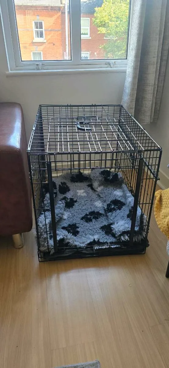 Dog crate - Image 1