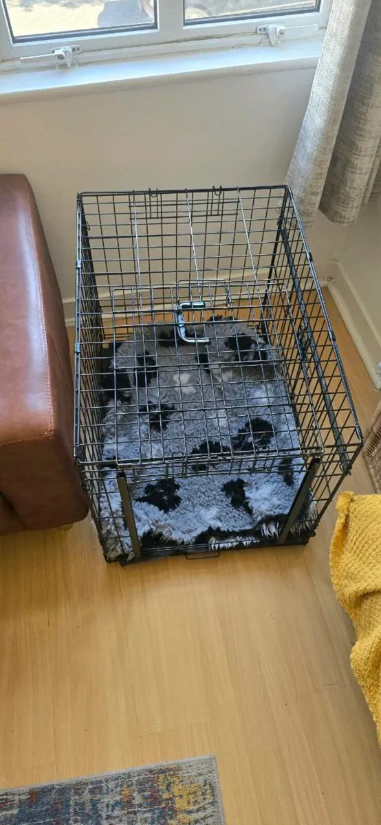 Dog crate - Image 2