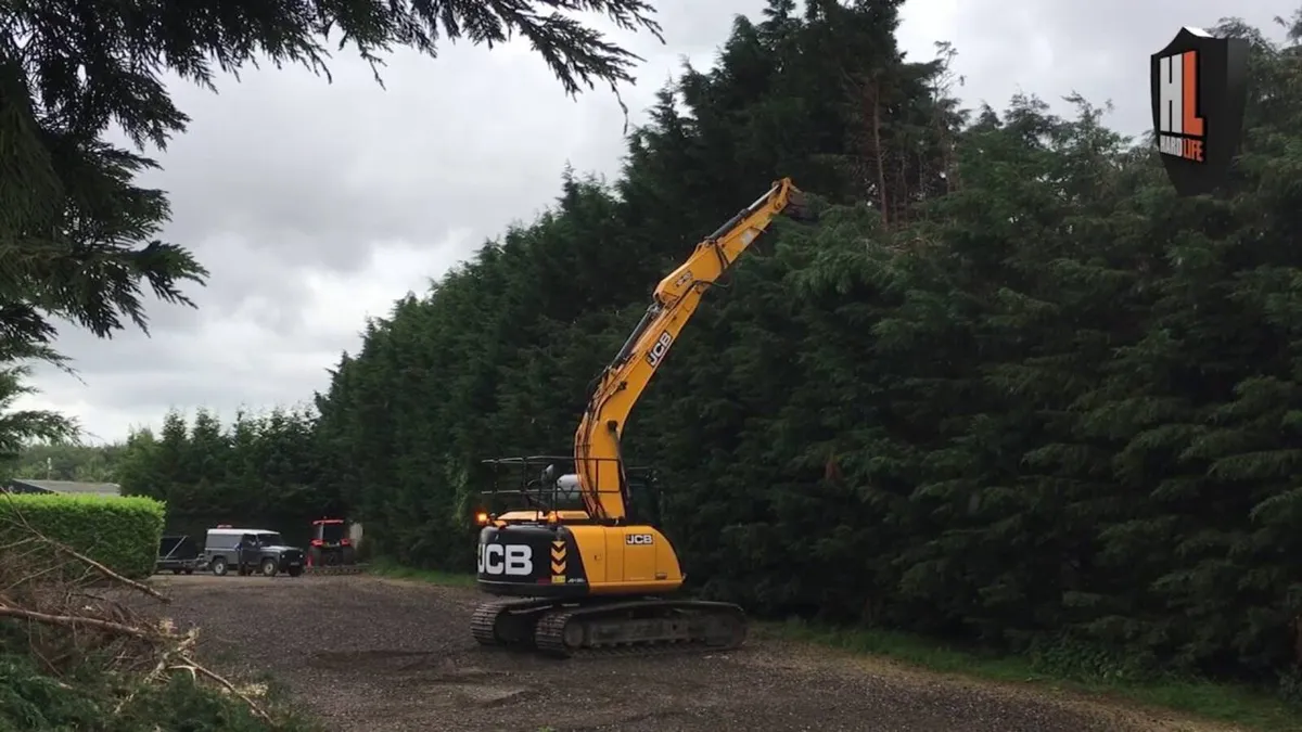 Tree shearing/digger work - Image 1