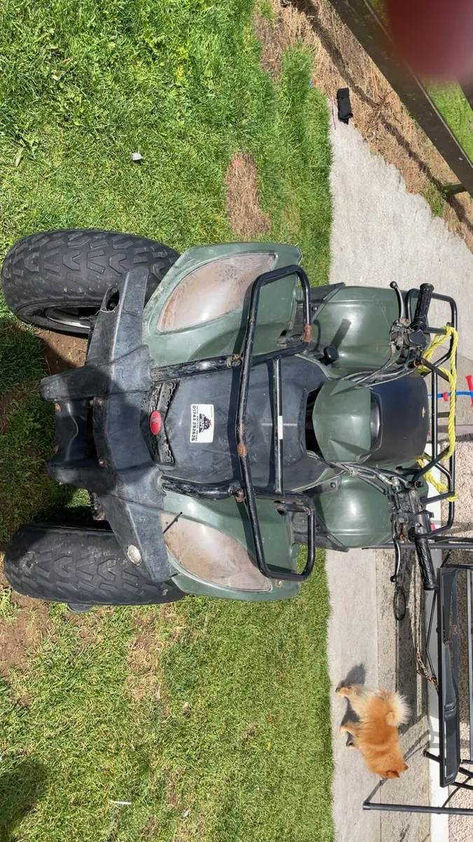 Quad - Image 3