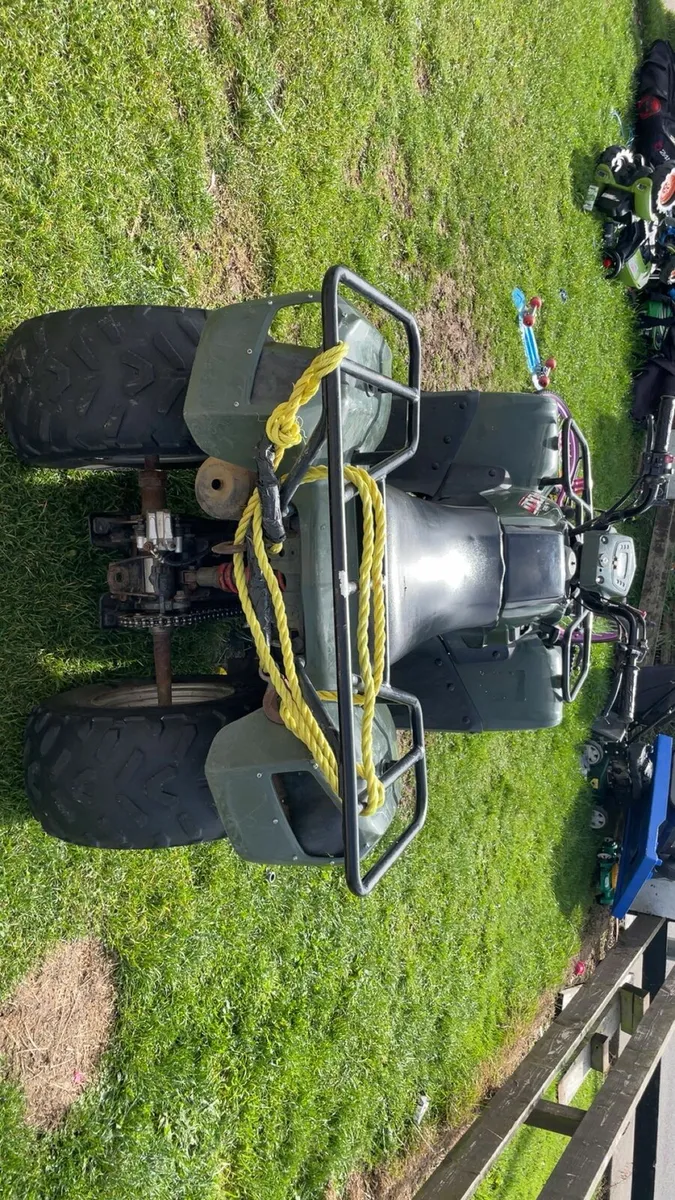 Quad - Image 4