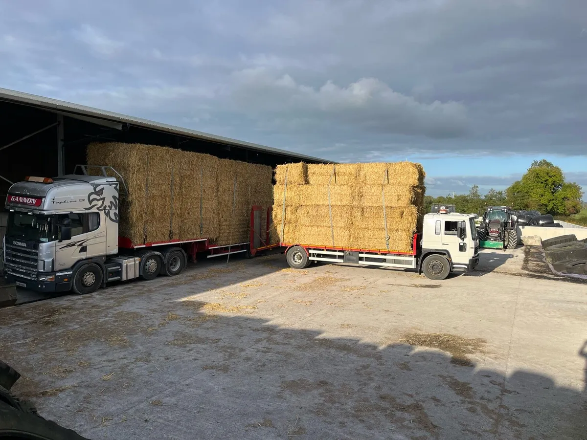 Small loads straw delivered - Image 1