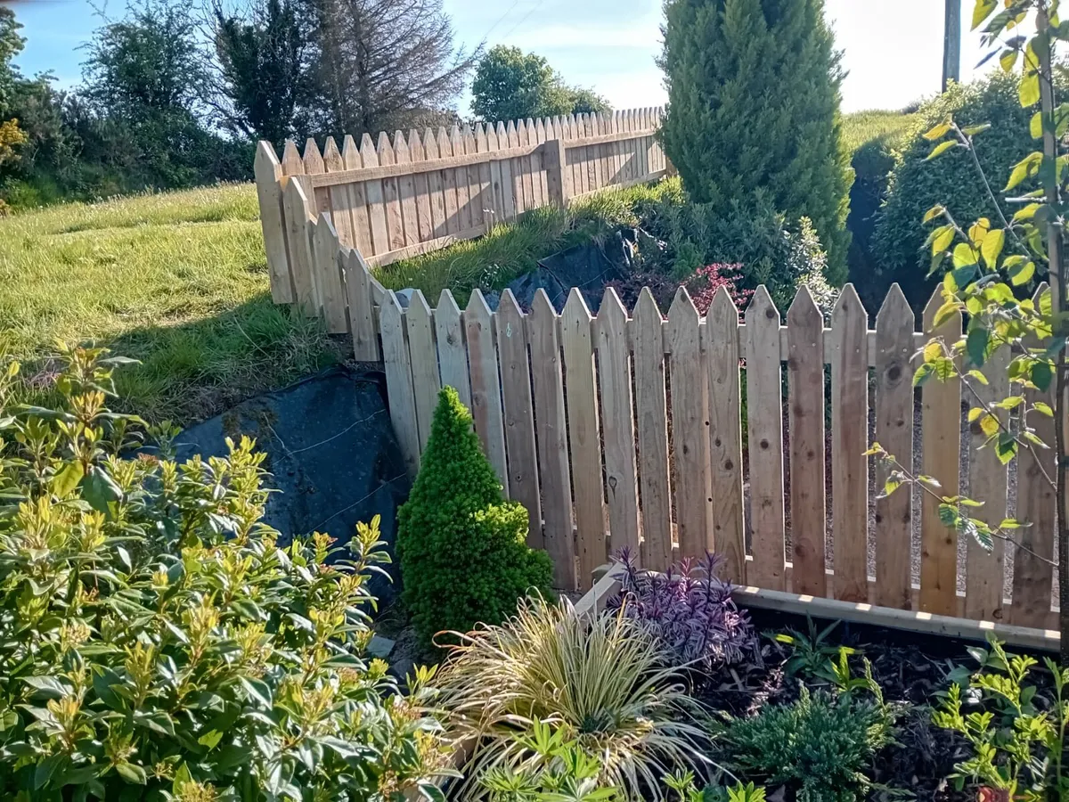 Fencing& timberwork - Image 4