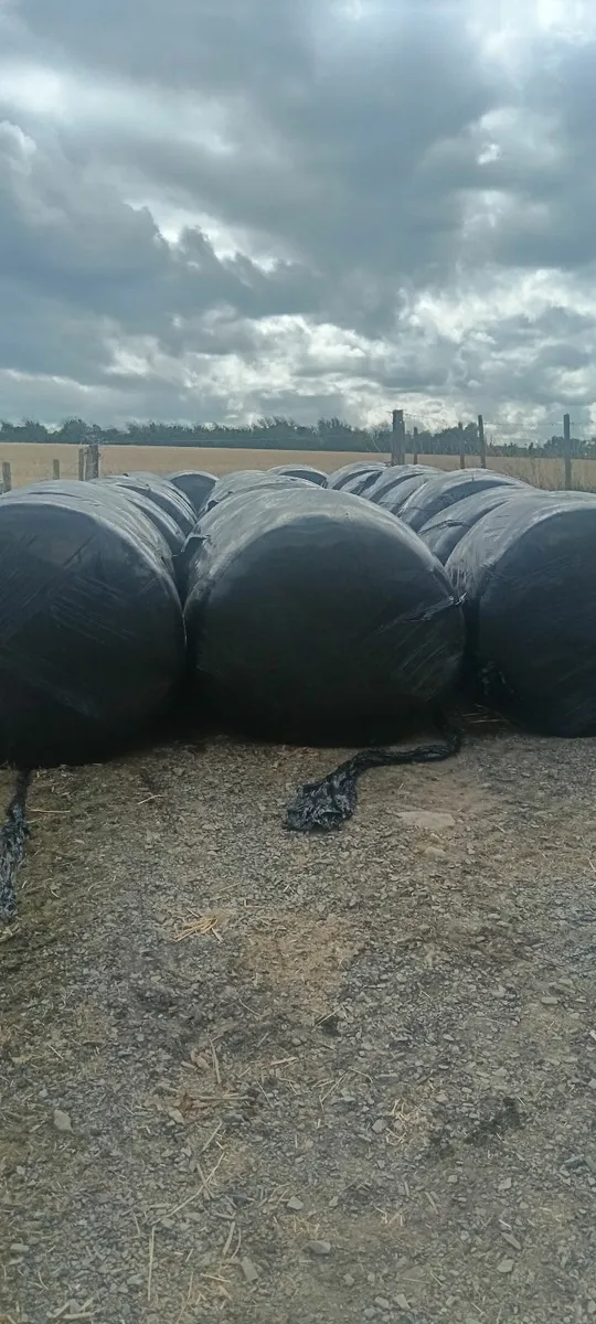 Bales - Image 1