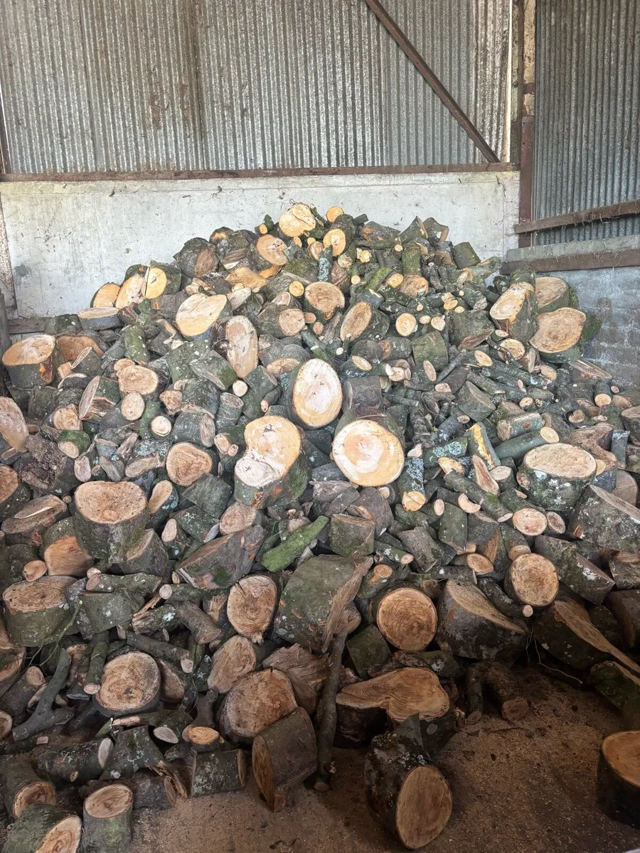 Firewood/Hardwood - Image 4