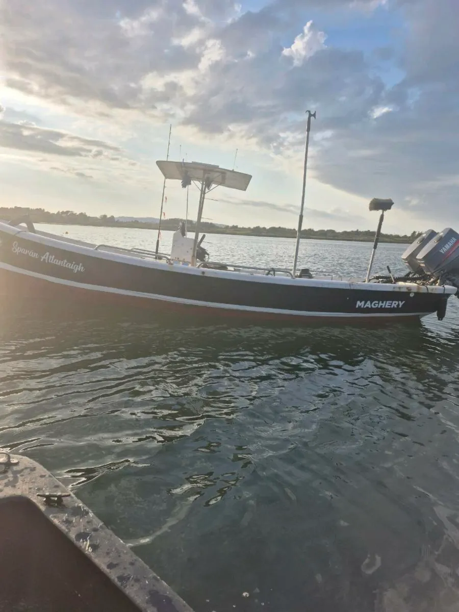 18 ft punt - Image 1