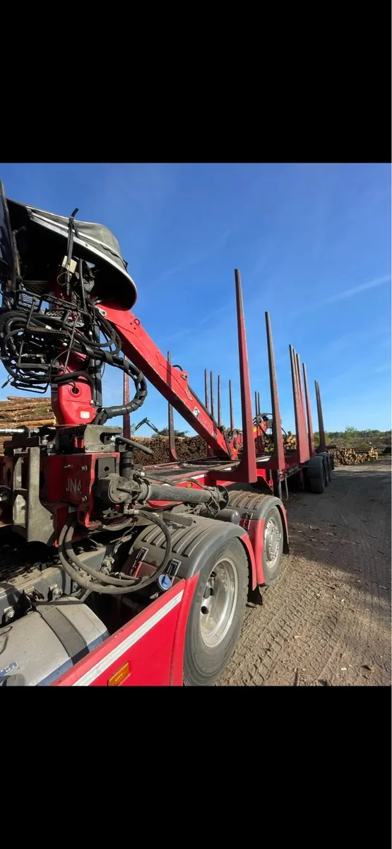 Robinson timber trailer - Image 4