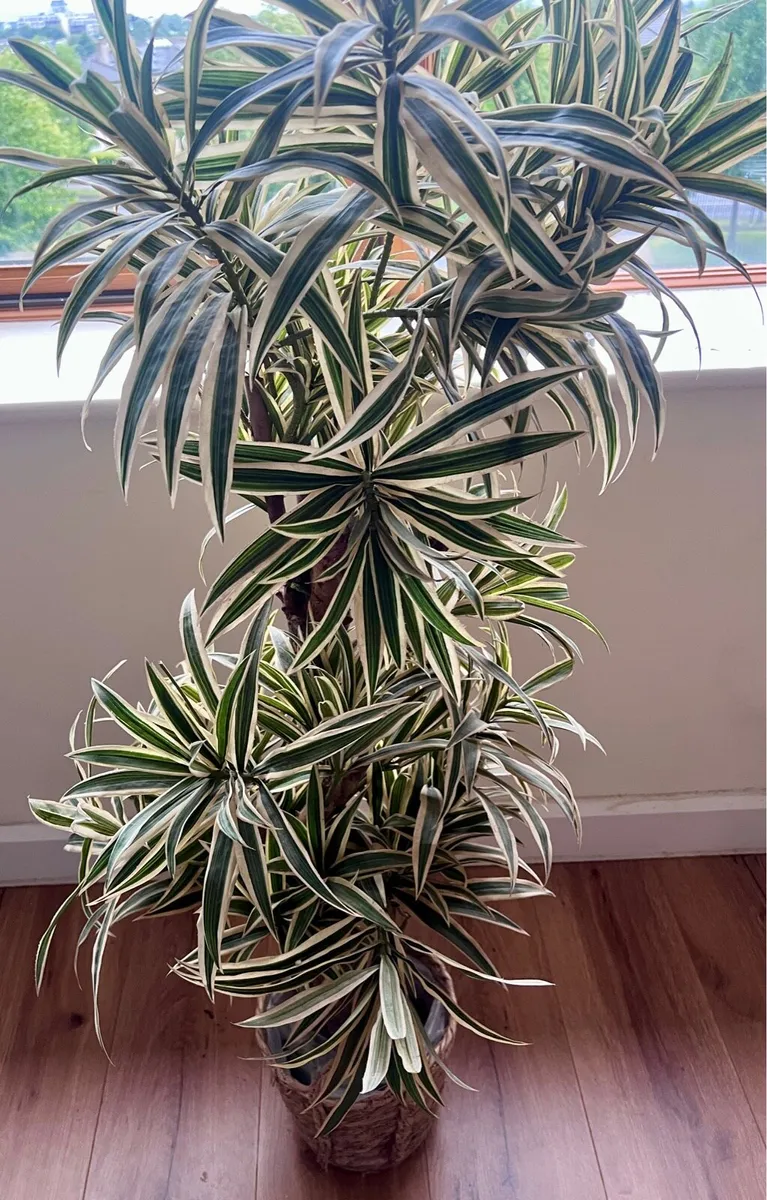 Artificial plant - Image 1
